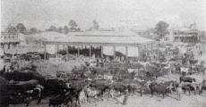 Bloemfontein the Segregated city