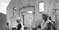 Socio-economics in Sophiatown 