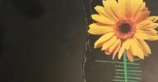 Footprints in Grey Street - Front Cover - Phyllis Naidoo 