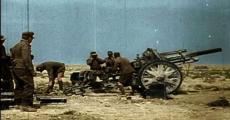 The effects of WW2 in Africa