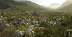 https://www.sa-venues.com/attractions/gallery/westerncape/3/1.jpg