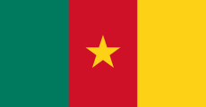 Flag of Cameroon