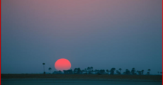 https://www.botswana.co.za/images/makgadikgadi-sunset-ian-michler-590x390.jpg