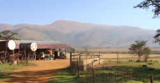 http://www.mpumalangahappenings.co.za/images_index/farm1.jpg