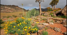 "blanhttps://www.sa-venues.com/attractions/gallery/northerncape/34/2.jpgk