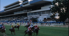 Turffontein Race Course  https://www.sa-venues.com/attractions/gallery/gauteng/459/1.jpg