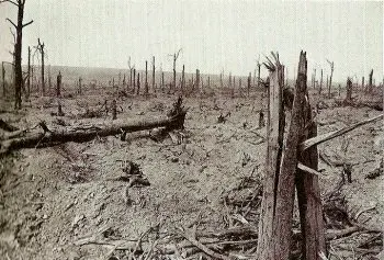 Battle of Delville Wood starts