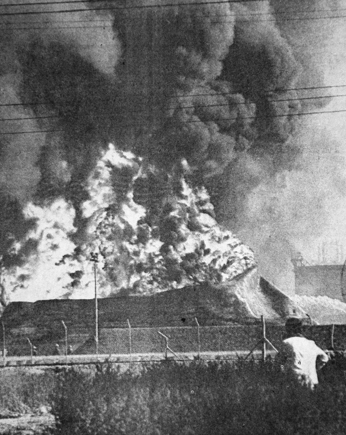 Sasol operation, 31 May 1980, Independent Media 3