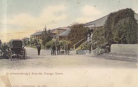 14-Orange-Grove.jpg