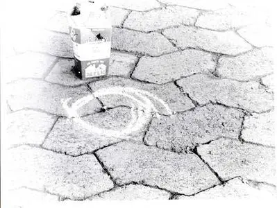 Shell casings found by the police just off Bree Street