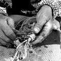 I12-Hands-clean-fruit.jpg