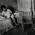 Image-20.jpg