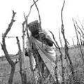 L15-Women-fence.jpg