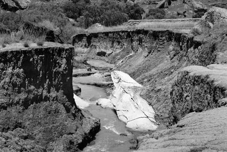 Mofokeng006.jpg
