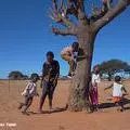 Playing-around-tree.jpg