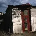 SHACK.jpg