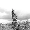 W12-Women-hoe.jpg