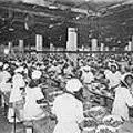 Workers sorting fruit at the H. Jones canning factory