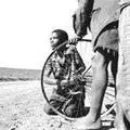 Bike Wheel