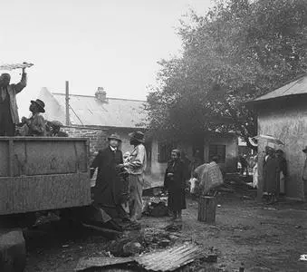 labourers at work