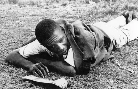 a distraught man lying on the ground
