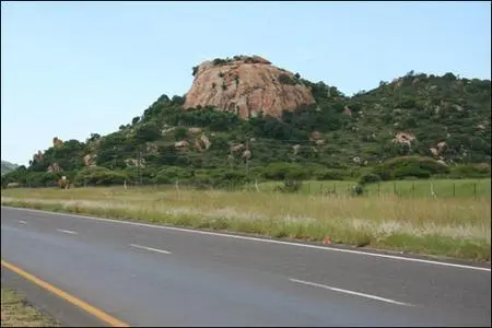 bambo-hill.jpg