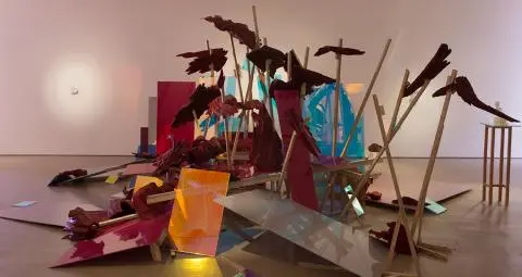 Installation view by Wim Botha