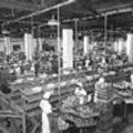 Canning section of H. Jones canning factory 