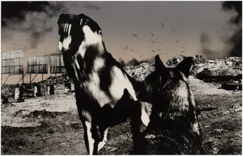 Nadir 15. 1987-88 by Jo Ractliffe