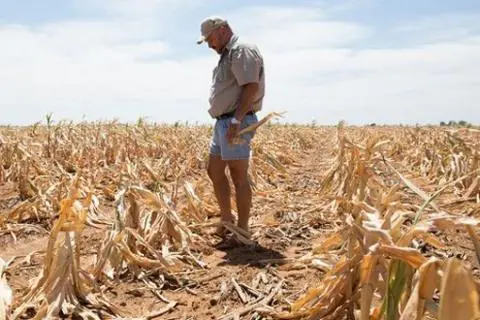 Drought, water and politics in southern Africa