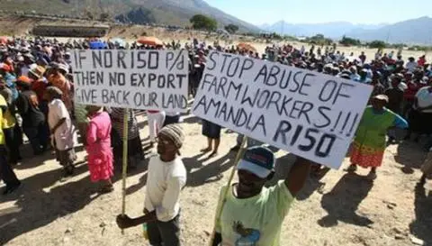 Farm workers striking in Western Cape