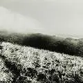 fence-landscape.jpg