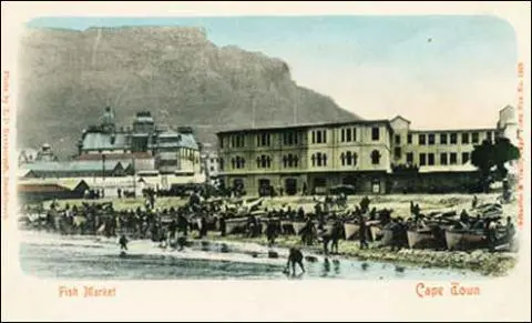 Fish Market
