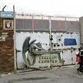Freedom Charter - Faith 47 - Graffitti