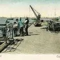 Quay side fishermen