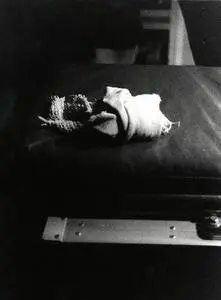 kruger007.jpg