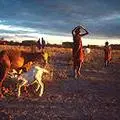 maasai01.jpg