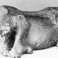 macala-3.jpg