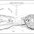 moor-park-walling.jpg
