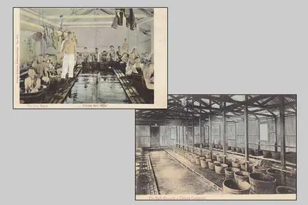 Postcards showing communal bathrooms at a Rand mine