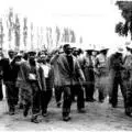 Robert Sobukwe leads marchers during the Anti pass Campaign, 21 March 1960 No.2