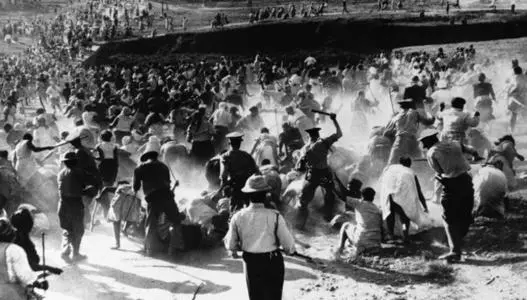 Violence Erupts in Cato Manor 1960