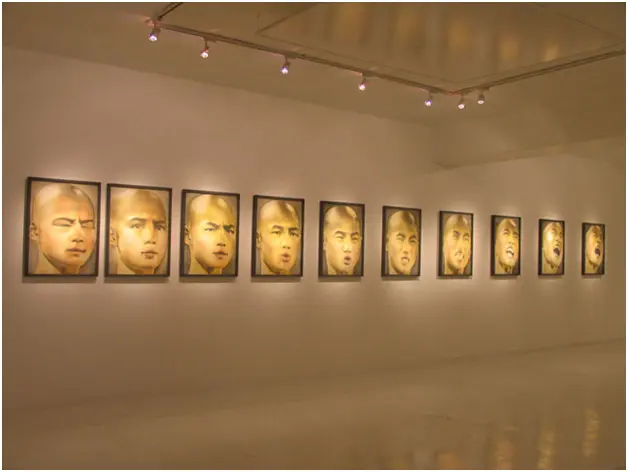 Altered States (installation view) by Tracy Payne 