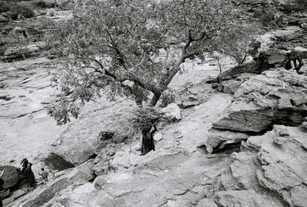tshabangu011.jpg