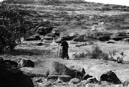 tshabangu012.jpg