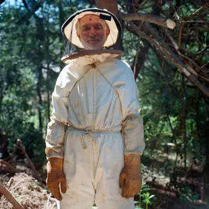 webster008.jpg