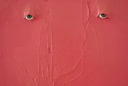 Who is Pinky Pinky by Penny Siopsis 