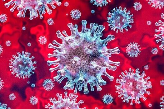COVID-19: The Whens and Whats of the Deadly Virus