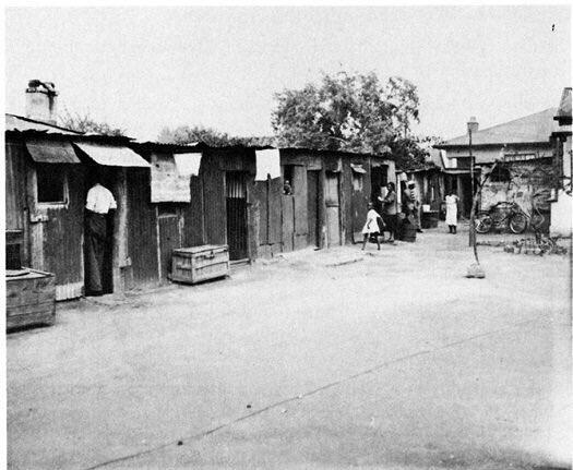 Life in Sophiatown