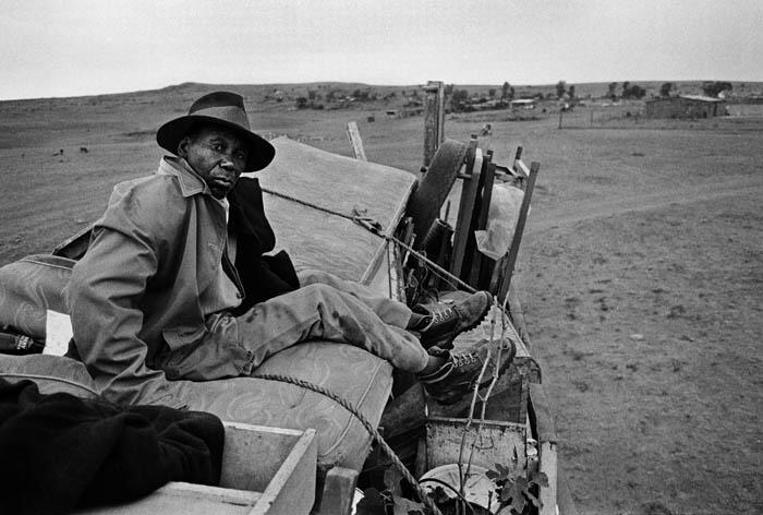 Forced Removals in South Africa